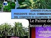 Palme Salento leccese devono morire?