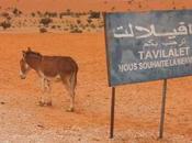 Sono Mali…