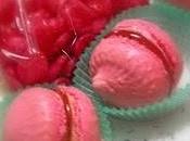Simil Macarons Ginevrine