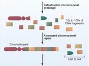 Cromosomi esplodono