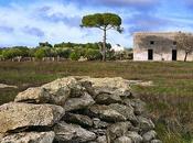 Costruire NATURALE