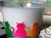 dove candela gatti colorati l’hai?