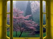 Vincenzo Cardarelli,alla deriva