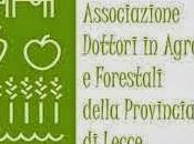 Report dell’Assemblea dell’Associazione Dottori Agraria Forestali della Provincia Lecce ottobre 2013