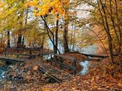 Federico Garcia Lorca, "Canzone d’autunno"