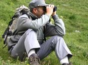 perde bosco Viggianello raccoglitore funghi barese. Ritrovato Corpo Forestale dello Stato