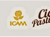 Collaborazione l'Azienda Icam Cioco Pasticceria