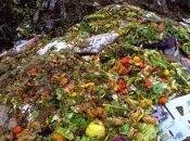 Quanta natura sprechiamo? L'altro volto dello spreco alimentare