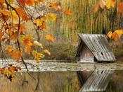 Foliage, l’estate indiana: viaggi, libri idee