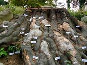 Postcards from York/18. Prospect Park, Brooklyn