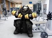 Locuste allenano, dobbiamo preparare nuovo E-Day?