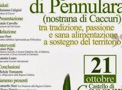 Kroton rilancio dell'olivicoltura caccurese.