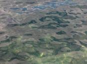 "Incanto mare)" /Spazio Poesia