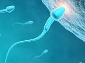 Avere bambino procreazione assistita inseminazione artificiale.