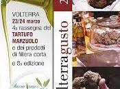 Volterragusto Mostra Mercato tartufo Bianco