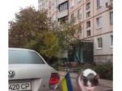 gatto sorprendere tergicristalli (Video)