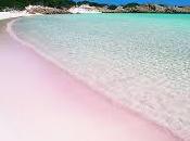 Svenduta spiaggia rosa l’intera isola budelli