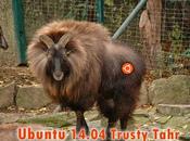 Svelato nome roadmap Ubuntu 14.04: caprone arrivo.