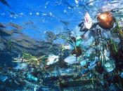 L’Oceano Pacifico morendo: traversata yacht rifiuti detriti