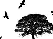 SOLEXINE CHAPTER, Amertumes