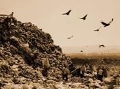 Film-doc stasera sulle gratuite: WASTE LAND (martedì ottobre 2013)