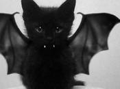 Black such happy color