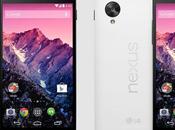 Arriva Nexus Android disponibile Italia