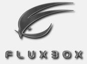 Fantastici temi FluxBox window manager elevato grado personalizzabilità funzionalità aggiuntive.