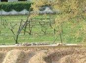 L’orto sinergico l’agricoltura misura d’uomo