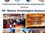 Messina edizione della mostra ornitologica nazionale
