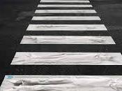 Donna travolta uccisa Donato Milanese Indagato autista