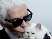 Choupette Karl Lagerfeld