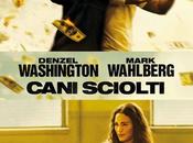 Cani sciolti: rimandato!