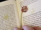 Icelandic Tale#27 Luce d'Estate subito notte)