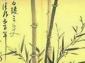 libro bambù