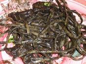 Spaghetti nero seppia