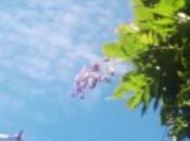 Dritte consigli come risparmiare voli cost!