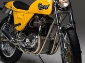 Wasp Triumph Tiger