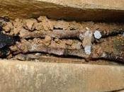 Sepoltura sassone Lincoln Castle