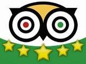 Ratings Reviews widget Tripadvisor docet?