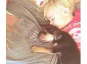 Beau Theo: bambino cucciolo amici cuore dormita (Foto)