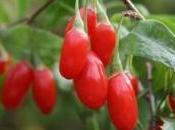 goji berry proprietà