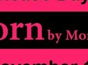 Book Launch: Torn Monica Murphy