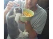 Gatto aggrappa alla ciotola cereali beve latte (Video)