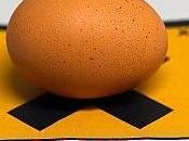 LOMBARDIA Allarme diossina nelle uova