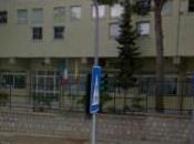 Terrasini, Alla Scuola “Padre Cataldo” Festa dell’albero