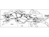 Olio d’oliva aspetti salutistici nell’antichita