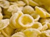 Orecchiette ricotta noci