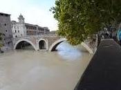 Maltempo Roma Tevere “sorvegliato speciale” Cade cedro metri