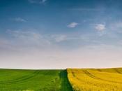 Windows ecco prime immagini concept